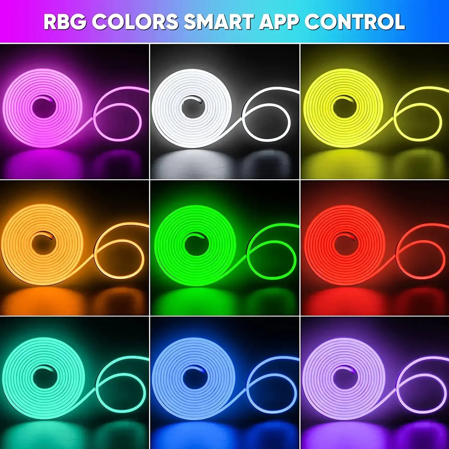 Luces LED de Neon